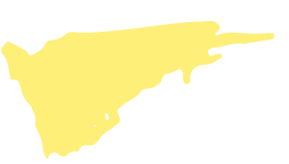fondo amarillo2