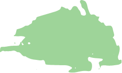 fondo verde5