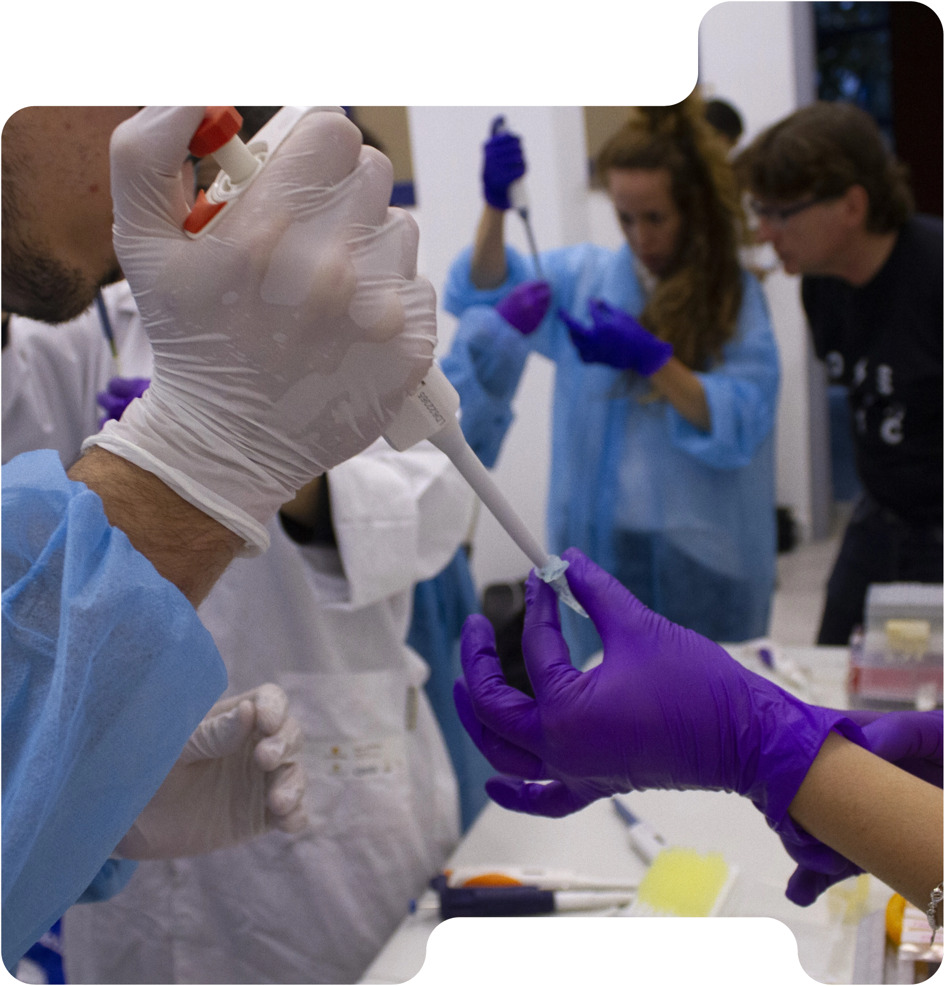 Biooklab es un laboratorio abierto para la exploración de la vida y la naturaleza